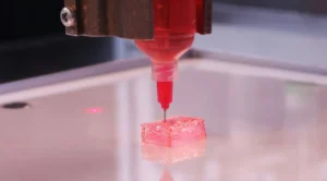 Mi az a 3D bionyomtatás – egyszerűen - 3DNyomtass.hu